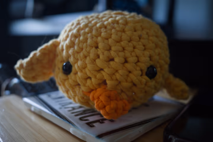 2025-06-30 Photo Dump